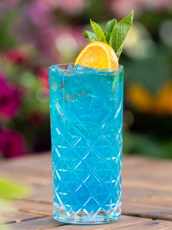 Blue Long Island